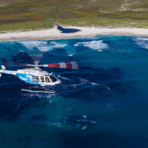 nac helicopters tour